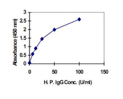 ELISA: Helicobacter Pylori IgG ELISA Kit [HRP] [KA0220] - Standard curve